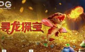 595cc开元官网版2024最新版