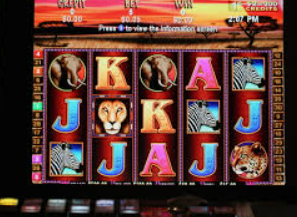 595cc开元官网版最新版