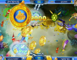 595cc开元官网版