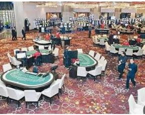 595cc开元官网版2024最新版